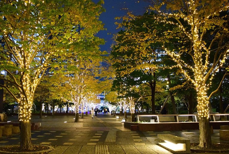 冬の夜空に輝くイルミネーション！品川周辺のおすすめスポットを紹介